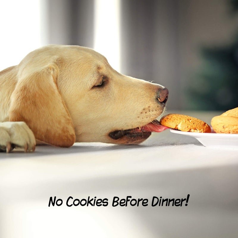 PETMAKER Freestanding Pet Gate - Wooden Folding Fence for Doorways, Halls, Stairs & Home - Step Over Divider - Great for Dogs & Puppies - Image 4